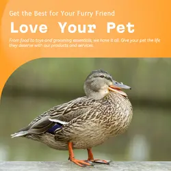 Pet industry General