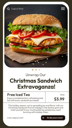 Food Sandwich Promotion Instagram Story