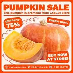 Pumpkin Sale Ptomotion Instagram Post White Orange Modern Flat