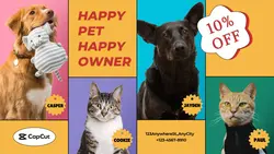 Pet dog cat Product display Discount Retro