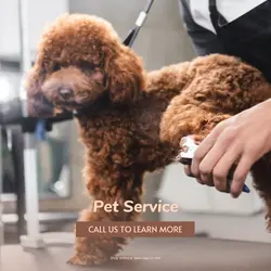 Pet industry Product Display