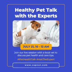 Blue Modern Healthy Pet Talk Instagram Post