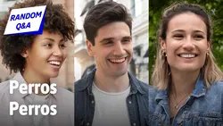 Street Interview Q&A Youtube Thumbnail