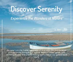 Travel industry General