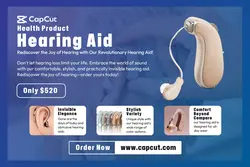 Electronics Hearing Aid