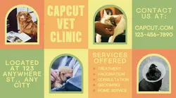 Capcut Vet Clinic Facebook Ad