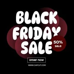 Black Friday Sale