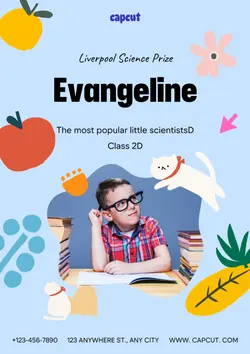 Education Certificate Display Cute