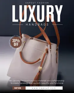 Luxury Handbags Promotion Instagram Post 