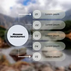 Non-Marketing Infographic Grey Transparan