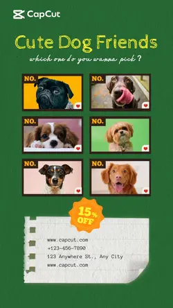 Pet Dog Display Collage Style