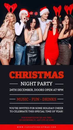 Christmas Night Party Instagram Story