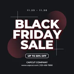 Black Friday Sale