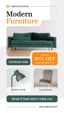 Modern Furniture Promotion TikTok