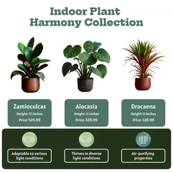 E-commerce Product Callout Household Accessories & Furniture Indoor Plant Harmony Collection