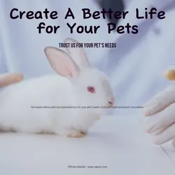 Pet industry Social Cards