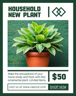 Household and Accessories New Plant Instagram Portrait