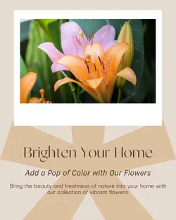 Home decor General