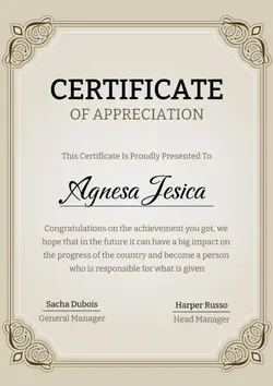 Non-Marketing Ceritificate Brown Minimalist