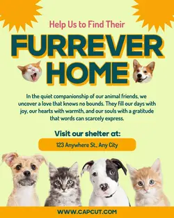 Pet Shelter Instagram Post