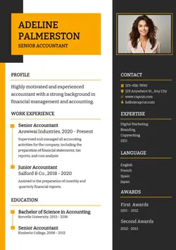 Business Resume Senior Accountant