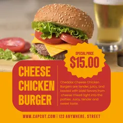Food Chicken Burger Display Instagram Post