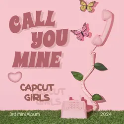 Non-Marketing Album Cover Pink