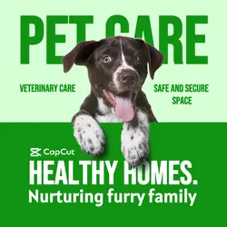 Pet Care - Green Theme Instagram Post