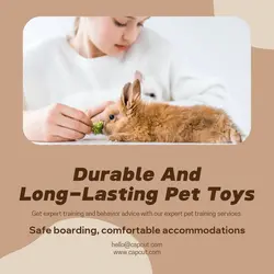 Pet industry Effect Display