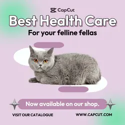 Pet Health Care Instagram Post