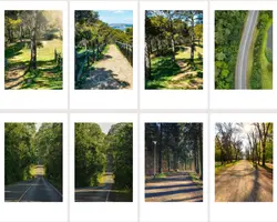 Non-Marketing Photo Collage Green Aesthetic