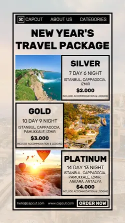 NEW YEAR'S TRAVEL PACKAGE INSTAGRAM STORY