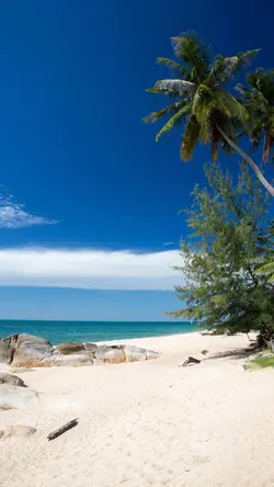 Fond d'écran général - Affiche créative Affiche marketing Histoire Instagram Plage / mer
