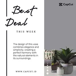 furniture online store social media