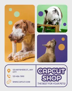 Pet Food Promotion Poster