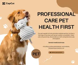 Services Sharing reputation Pet hospital Stylized