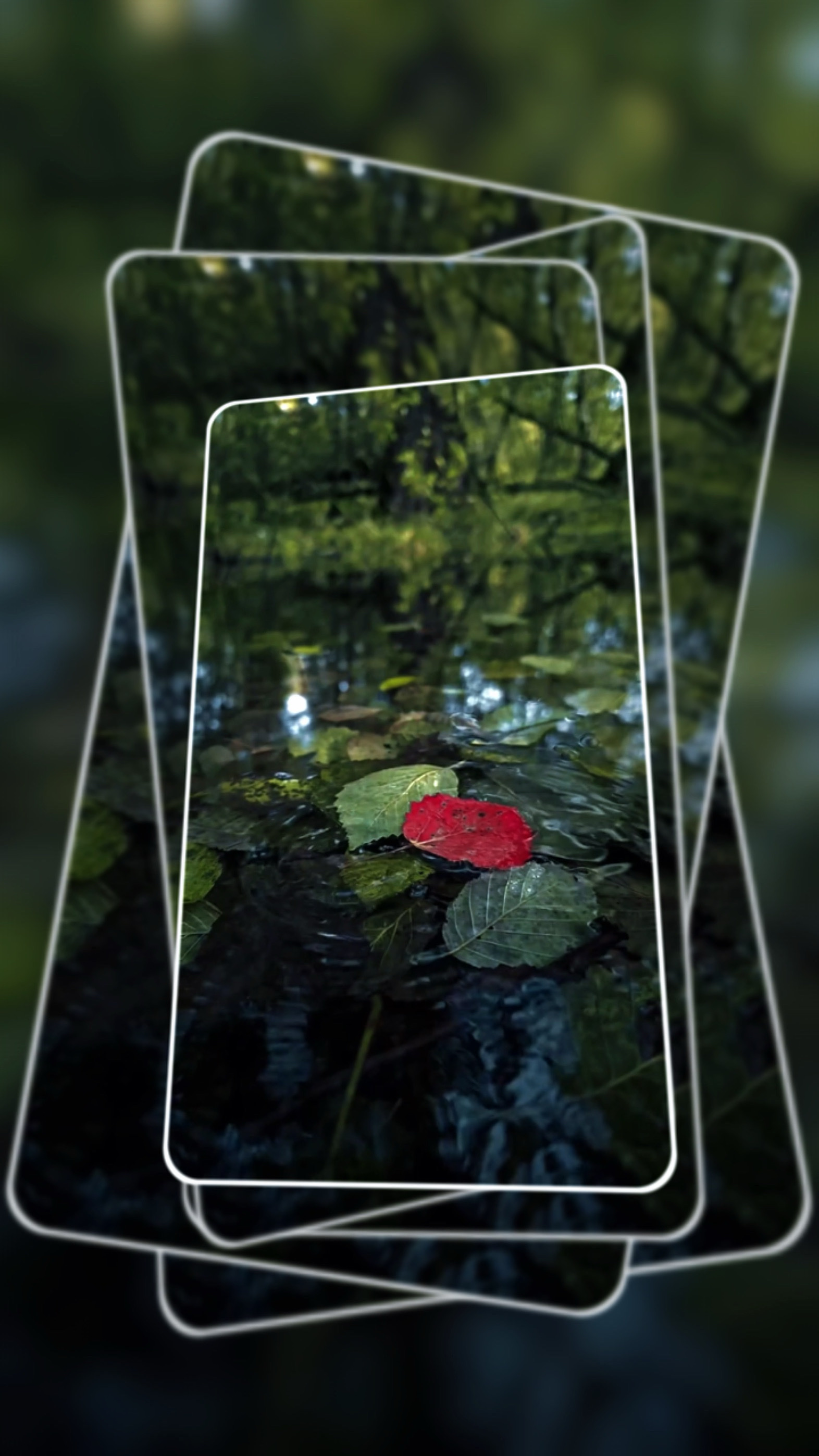 8 video or photo 
