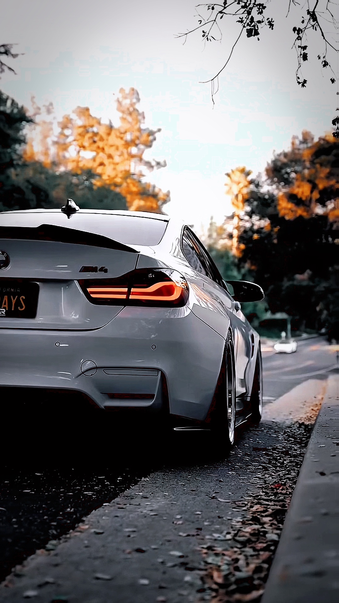 BMW EDIÇÃO DE CARRO 🔝 