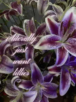 lillies!!