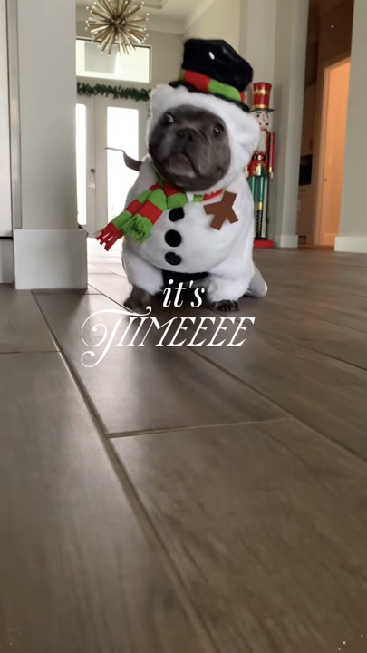 Mascota navideña
