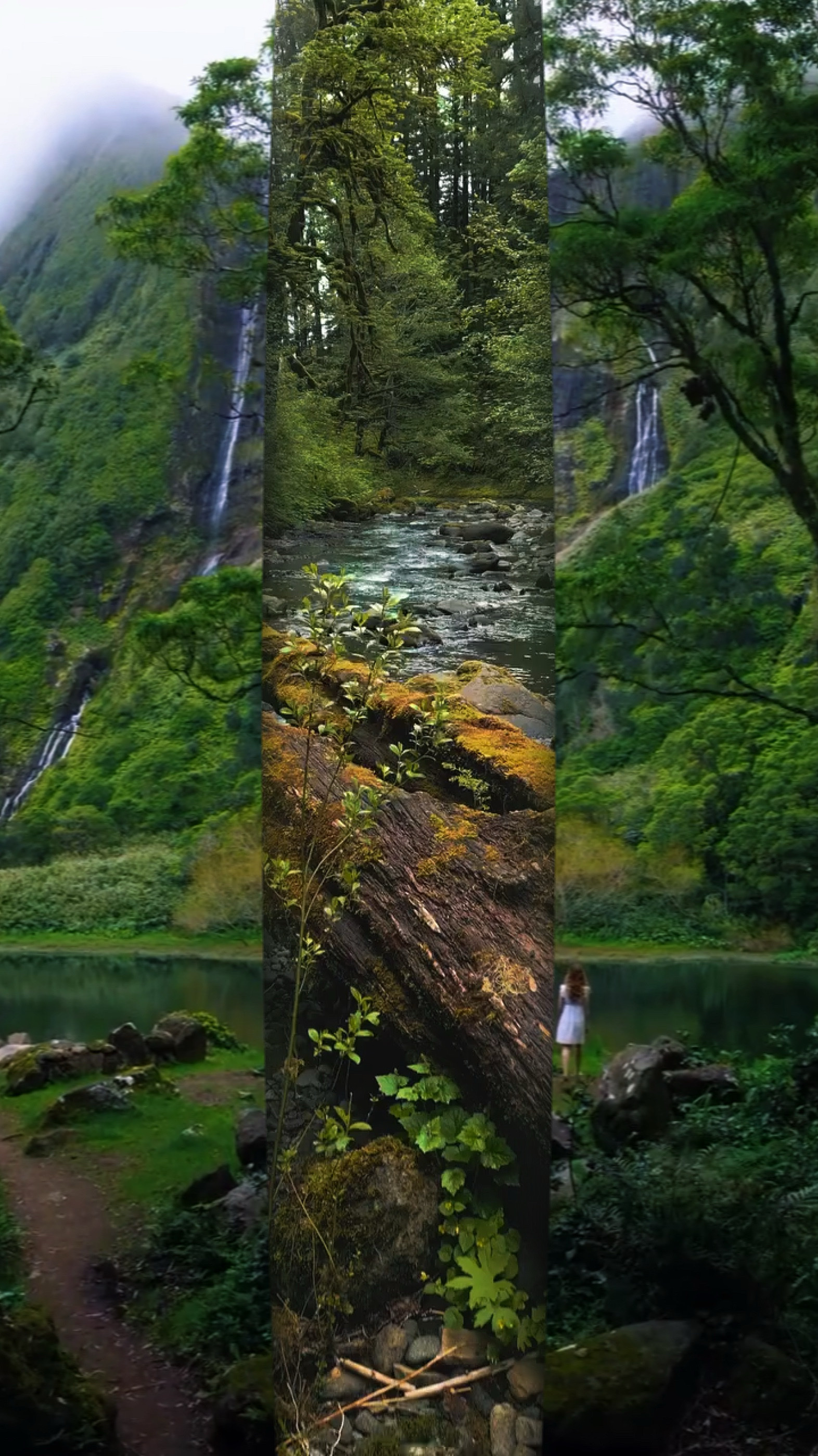 7 video or photo 