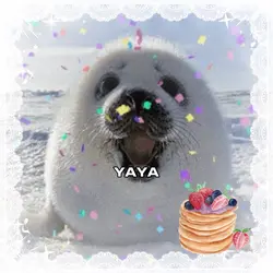 Seal Pancake 🥞 