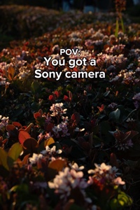 Camera Photo Zoom 