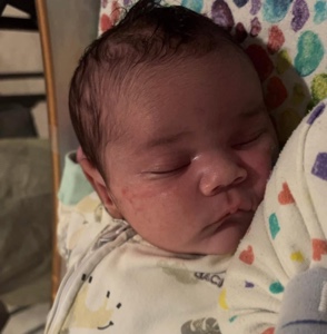 El primer año del bebé 