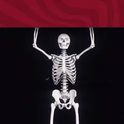 Skeleton Transition 