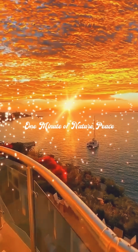 Peace in 60 Seconds