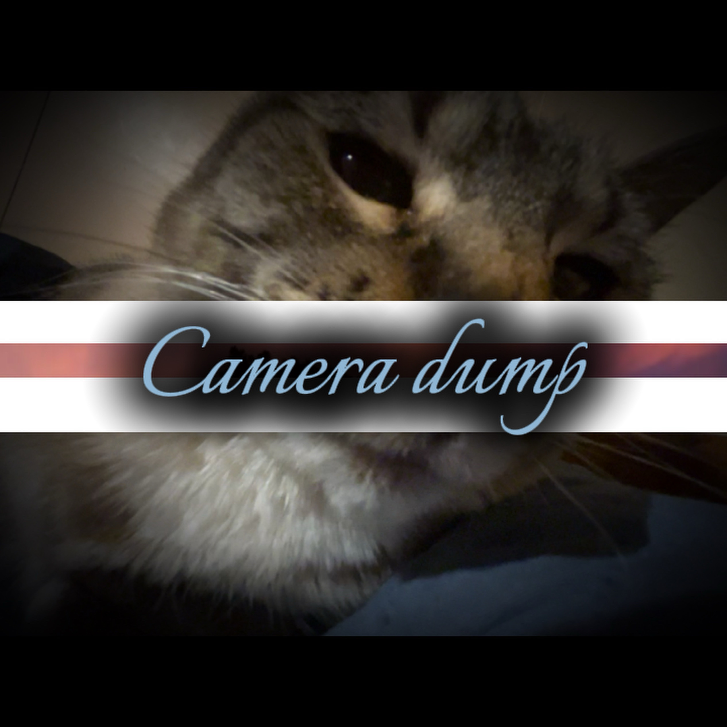 Photo dum