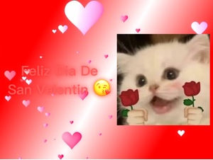 San Valentín ❤️