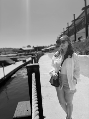Viajes 