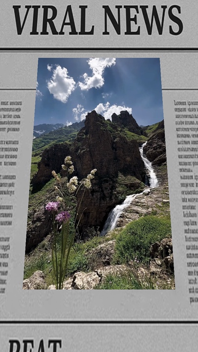 Revista 